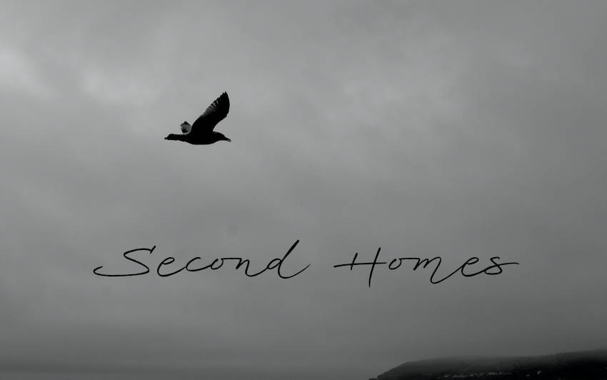 A seagull in flight over the sea.