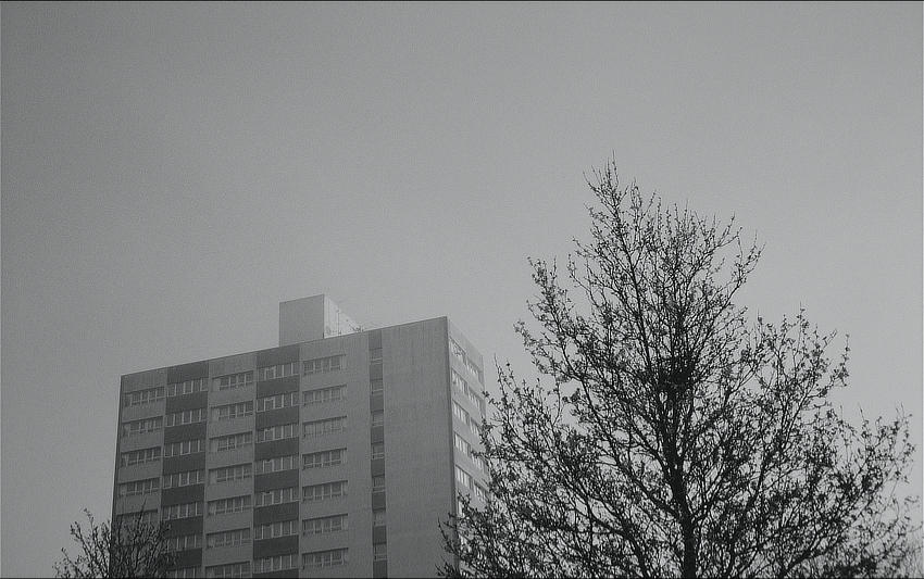 A post-war tower block rising out of light mist against a grey sky. There is a bare tree next to it.