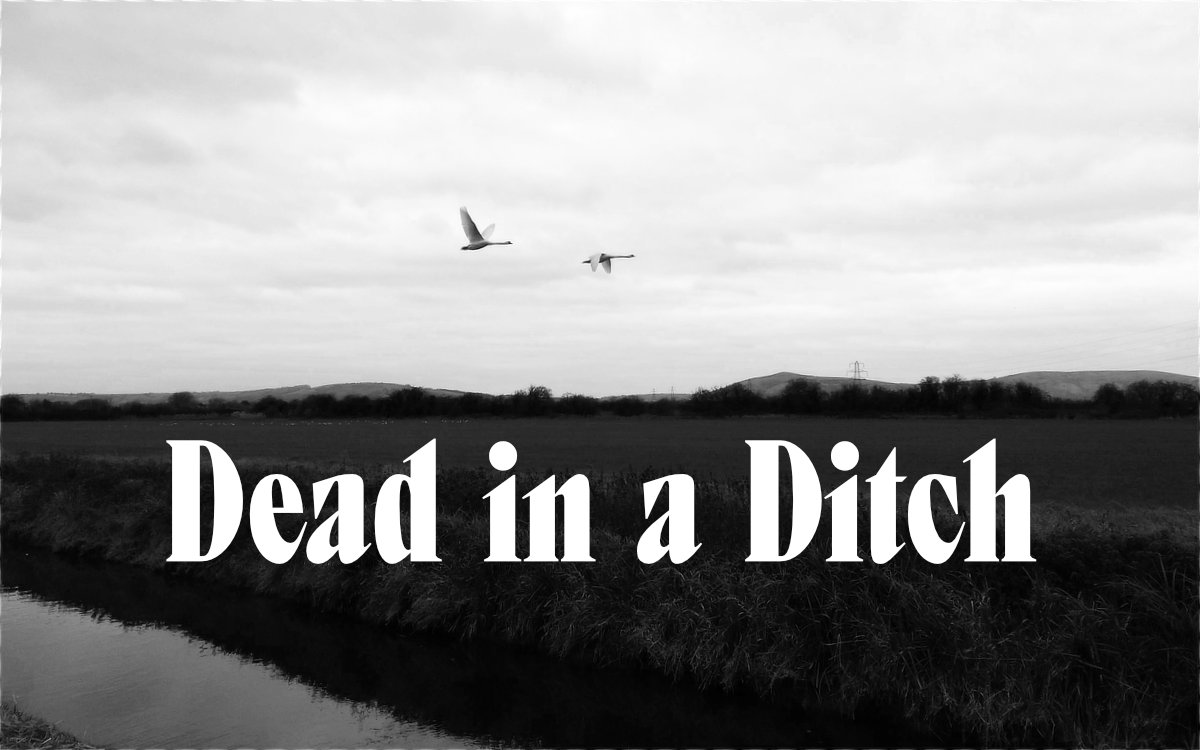 A ditch on the Somerset Levels with two geese flying overhead.
