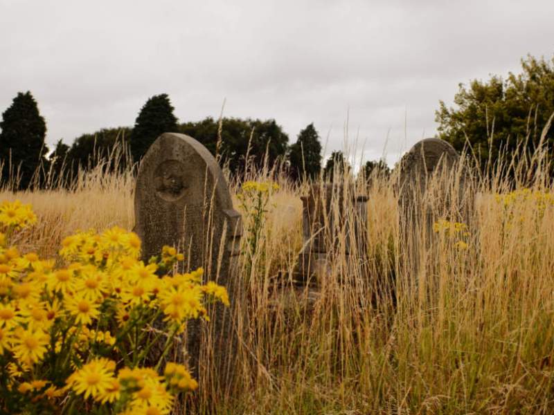 9: Damnatio Memoriae – Thin Places in Hard Concrete, story by&nbsp;story