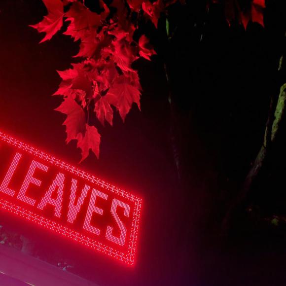 A red LED sign with the word LEAVES. Above it are some actual leaves that its glow has turned red.